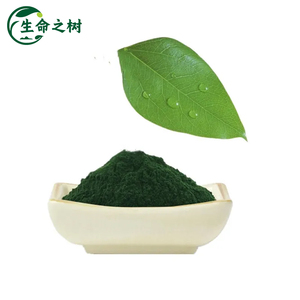 Tùy chỉnh đóng gói chất diệp lục bột hoặc chất lỏng với nồng độ cao và dài thời hạn sử dụng - Product Image 3