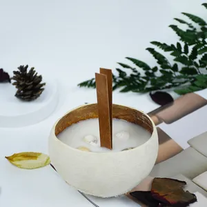 Kokosnuss schale Kerze gemischt Soja wachs recycelt handgemachte tropische Gefühle Duft kerzen