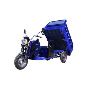 รถบรรทุก<span class=keywords><strong>สามล้อ</strong></span>3ล้อสำหรับกระบะเปิดอัตโนมัติ1000W จากยุโรปสหรัฐอเมริกา - Product Image 6