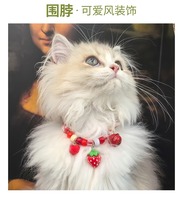 Collier pour chien personnalisé en paracorde tressé avec perles, collier pour animal de compagnie personnalisé avec clochette, collier pour animal de compagnie tissé à la main avec perles, collier réglable pour animal de compagnie