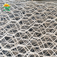 Panier gabion en treillis métallique galvanisé en spirale avec revêtement PVC, calibre 2,4-5 mm, pour contrôle des inondations, service de découpe, vente en gros