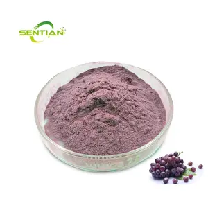 100% Natural Grape Juice Concentrate Powder Vitis vinifera/Grape Fruit Powder for Beverage