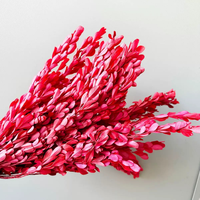Fleurs décoratives de Noël, plantes naturelles, véritables, préservées, buis, petites feuilles de buis pour couronnes de Noël