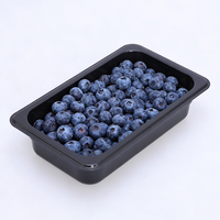 Bac à glace GN 1/4 en polycarbonate de haute qualité, écologique, pour équipement de restaurant, buffet d'hôtel et présentation