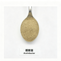 Acetobacter 10 milliards UFC/g Culture de démarrage pour la fermentation acétique Poudre de bactéries acides pour la fabrication de vinaigre comestible fermenté