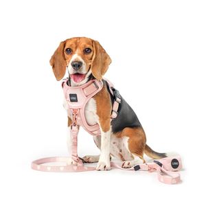 Correa de Nailon Resistente de 2 Piezas para Perros, Color Rosa, para <span class=keywords><strong>Beagle</strong></span>, Shiba Inu, Bulldog Francés, <span class=keywords><strong>Labrador</strong></span> Retriever - Product Image 2