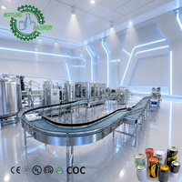 Ligne de remplissage de canettes de bière 12000 canettes/heure axée sur la rentabilité (ROI) avec système de nettoyage CIP et sécheur par soufflage pour canettes en aluminium de 0 à 500 ml