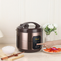 Cuisinière à riz électrique multifonctionnelle en acier inoxydable de 3L/4L/5L, vente en gros, appareil ménager pour la maison et l'hôtel