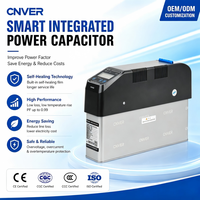 Batterie de condensateurs intelligente pour la compensation de puissance réactive avec module de contrôle numérique, dispositif de correction automatique du facteur de puissance