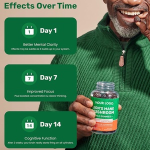 Oem/ODM tùy chỉnh 1000mg sư tử của bờm nấm gummies-não bổ sung sức khỏe cho tập trung, bộ nhớ và tâm trạng hỗ trợ - Product Image 2
