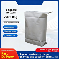 Sacs à valve en EVA 25kg 50kg à fond givré pour l'emballage de ciment et de poudres chimiques, sacs plastiques robustes thermoscellables
