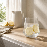 Verre d'hydratation professionnel pour bureau, tasse de réunion exécutive, gobelet VIP pour salon d'affaires, souvenir d'entreprise pour récompenses d'entreprise 10oz