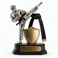 Trophée de Taekwondo personnalisé, trophée sportif en métal, trophée de championnat, trophée en métal personnalisé, récompense pour vainqueur d'arts martiaux