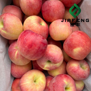 Оптовая продажа вкусных яблок: свежие, сочные, красные яблоки Фуджи оптом - Product Image 3