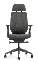 Chaise de bureau ergonomique à dossier haut avec accoudoirs réglables, design moderne en maille