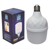Bombilla LED Recargable Tipo T de Aluminio Fundido a Presión de 170-265 V, 30 W, 40 W, 50 W