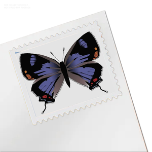 Etiquetas Permanentes Personalizadas al por Mayor para Envíos Postales, Colección Hairstreak Colorado 2021, Impresión en Papel, Venta al por Mayor en EE. UU. - Product Image 1
