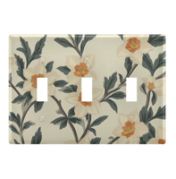Plaque de cache-interrupteur personnalisée pour décoration intérieure esthétique, cadeaux décoratifs muraux pour la maison, le salon, la chambre et le bureau, pour murs d'accentuation