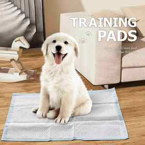 Free Sample 22"x 22" Leak Proof Product Dog Toilet Training <b>Pads</b> Absorbent Potty <b>Pads</b> Disposable Dog <b>Pee</b> <b>Pee</b> Pet Training <b>Pad</b> - Product Image 6