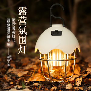 Camping Lamp Egg Shape Led Light <b>With</b> Hook Portable Outdoor Tent Light For Camping - Product Image 1