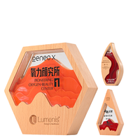 Nouvelle mode géométrique en bois massif trophée résine incrusté logo personnalisé activités Prix d'honneur souvenir personnalisation vierge