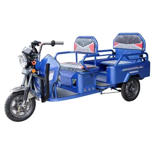 Tricycle électrique à moteur de 1200w avec tableau de bord pour adultes, tricycle de ville à 3 roues, cargo, vente en gros