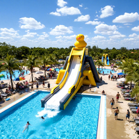 Toboggans de parc aquatique gonflables personnalisés pour adultes, structure de jeu aquatique commerciale géante pour parc d'attractions, prix de gros