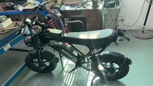 Ridstar Q16 EU Kho 1000W 48V 20Ah Chất Béo Lốp Ebike Trung Tâm Động Cơ MTB Xe Đạp Điện Leo Núi Bụi Bẩn Xe Máy Lai Người Lớn E Xe Đạp - Product Image 6