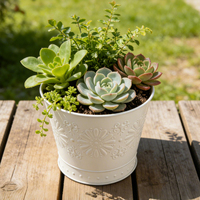 Pot à fleurs artisanal de haute qualité, élégant, en fer forgé galvanisé, style européen, design côtier, décoration de mariage