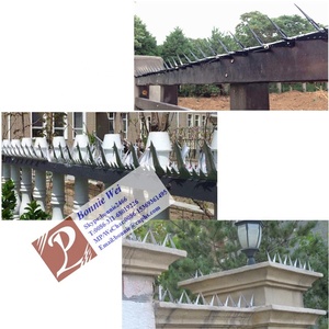 विरोधी चढ़ाई दीवार Spikes, रेजर spikes - Product Image 5