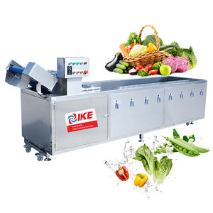 Otomatik ozon jeneratörü meyve sebze temizleme makinesi makineleri yeni Motor pompası rulman Motor su sebze yıkama ekipmanları - Product Image 1