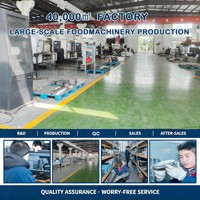 Ligne de production entièrement automatique de poudre nutritionnelle/amidon modifié 200-300 kg/h pour céréales de riz infantiles