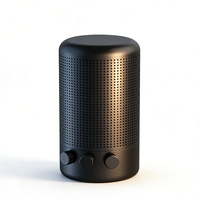 Enceinte Bluetooth sans fil au design élégant et personnalisable - Qualité sonore Hi-Fi Système audio domestique