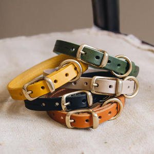 Juego de <span class=keywords><strong>collar</strong></span> y correa para perro de cuero genuino, correas para mascotas, correa para perro, correas para entrenamiento, collares para cachorros, correa para perro, agresión - Product Image 5