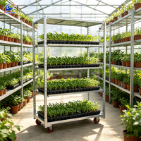 Chariot à semis robuste et détachable avec roues verrouillables, chariot mobile pour orchidées et plantes en pot pour pépinière