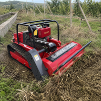 Tondeuse à fléaux télécommandée avec plateau de 800 mm et portée de 200 m pour l'entretien des vergers et des vignobles