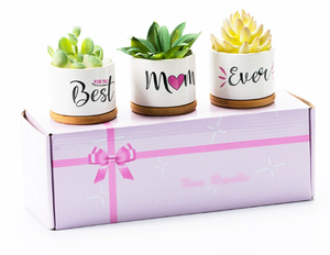 Mini <span class=keywords><strong>maceta</strong></span> suculenta de cerámica con bonita bandeja de bambú, soporte para plantas de interior para el jardín del hogar, calentando tu espacio esta <span class=keywords><strong>Navidad</strong></span> - Product Image 3