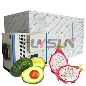 Obst-Trockenraum Trocknungsanlage für Pitayas, Kiwis und Avocados Wärmepumpen-Trockenbox - Product Image 1