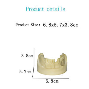 Bor Gigi Implan Tulang Buatan, Model Gigi Tanam dan Latihan Implan Gigi - Product Image 3