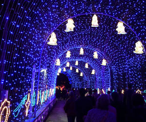 Grandes décorations lumineuses en forme d'arche pour les festivals de rue, les défilés, les célébrations de Noël et les événements extérieurs. - Product Image 1