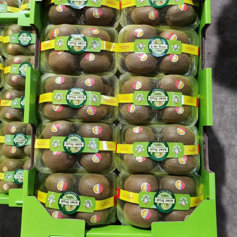 Kiwi de haute qualité pour supermarché, fruits frais de grand goût, vente en gros