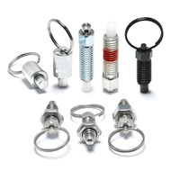 6 8 10 12 SS304 316 Nylon Chaîne Reset Back Lock Ball Spring Plunger Pull Safety T Handle Quick Release Pin DIN22341 ISO9001
