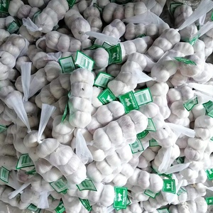 Ajo Blanco Normal Certificado Jin <span class=keywords><strong>Xiang</strong></span> Shandong, Marca Fenduni, Cosecha Nueva, Fresco, de Alta Calidad, Precio al por Mayor, 4.5-6.5cm, Enfriado - Product Image 4
