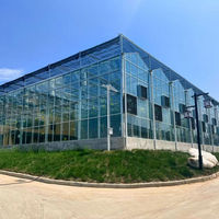 Nouvelle serre en verre de Venlo pour la culture du poivron