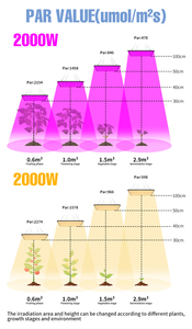 Phát Triển Ánh Sáng <span class=keywords><strong>LED</strong></span> Quang Phổ Đầy Đủ COB Công Suất Cao Phát Triển Đèn Cho Nhà Máy Hạt Giống Nhà Kính Trong Nhà Sử Dụng Chúng Tôi/EU/Anh/AU Cắm - Product Image 3