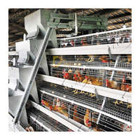 Cage à poules de haute qualité pour l'Inde