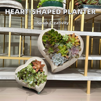 Pot de plante succulente en forme de cœur, cactus, pot de fleurs, décoration intérieure et extérieure tendance, patio, jardin, maison, pépinière, ciment, revêtement en poudre