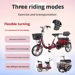 รถสามล้อไฟฟ้าแบบเปิดประทุน พับได้ ใช้แบตเตอรี่ สำหรับ<span class=keywords><strong>ผู้</strong></span>โดยสาร - Product Image 4