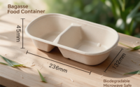 Boîte à lunch rectangulaire en pulpe de bagasse avec couvercle, conteneur alimentaire à emporter 500ml 700ml 850ml 1000ml, vaisselle jetable compostable