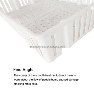 Qa Nhựa Gia Cầm Thùng Sống Gà Hộp Vận Chuyển Chim Cút Chim Bồ Câu Gia Cầm Vận Chuyển Thùng Cho Gà Con - Product Image 5